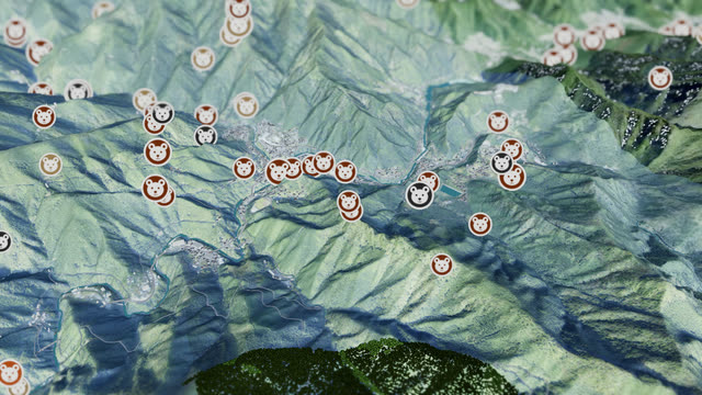 Bear sightings in the 3D map